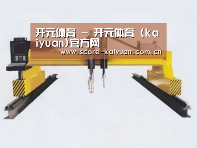 产品名称十七