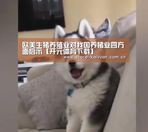欧美生猪养殖业对我国养猪业四方面启示【开元体育下载】(图1) 开元体育