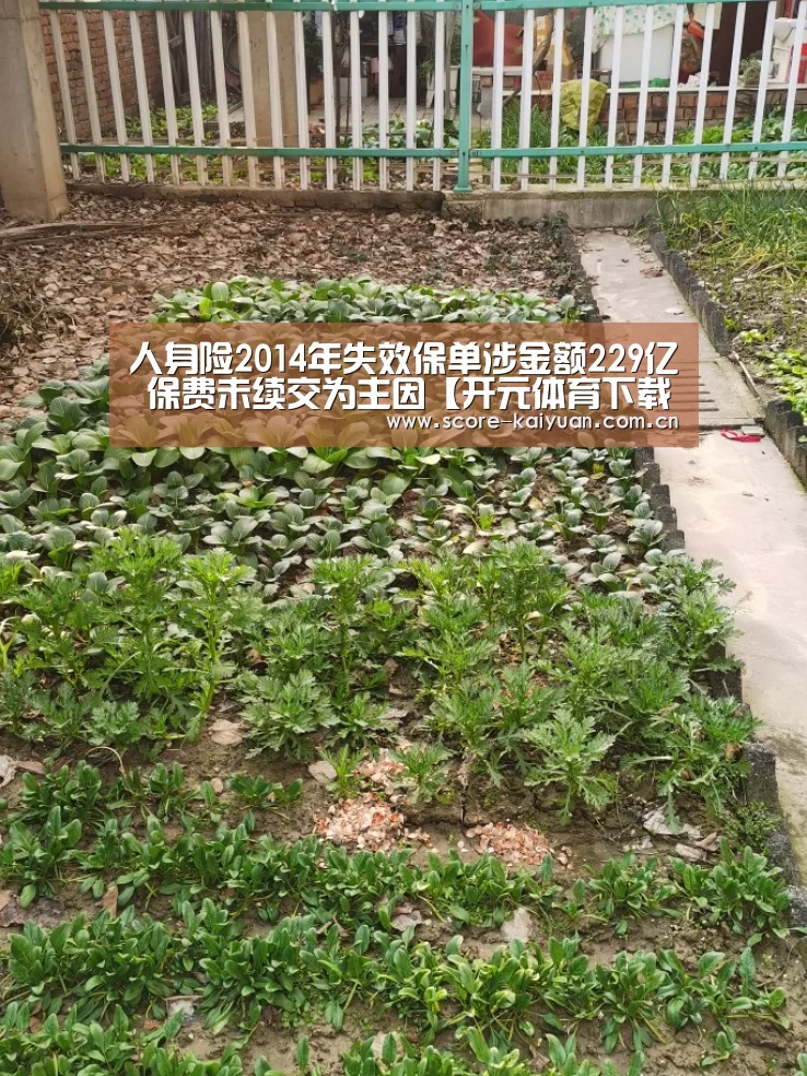 人身险2014年失效保单涉金额229亿 保费未续交为主因【开元体育下载】(图3) 开元体育下载