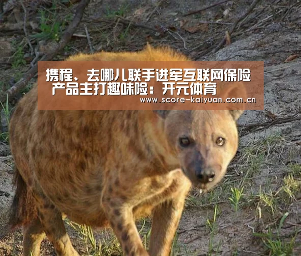 携程、去哪儿联手进军互联网保险 产品主打趣味险:开元体育(图1) 开元体育下载