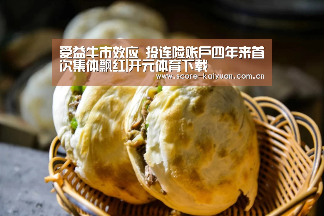 受益牛市效应 投连险账户四年来首次集体飘红|开元体育下载(图4) 开元体育