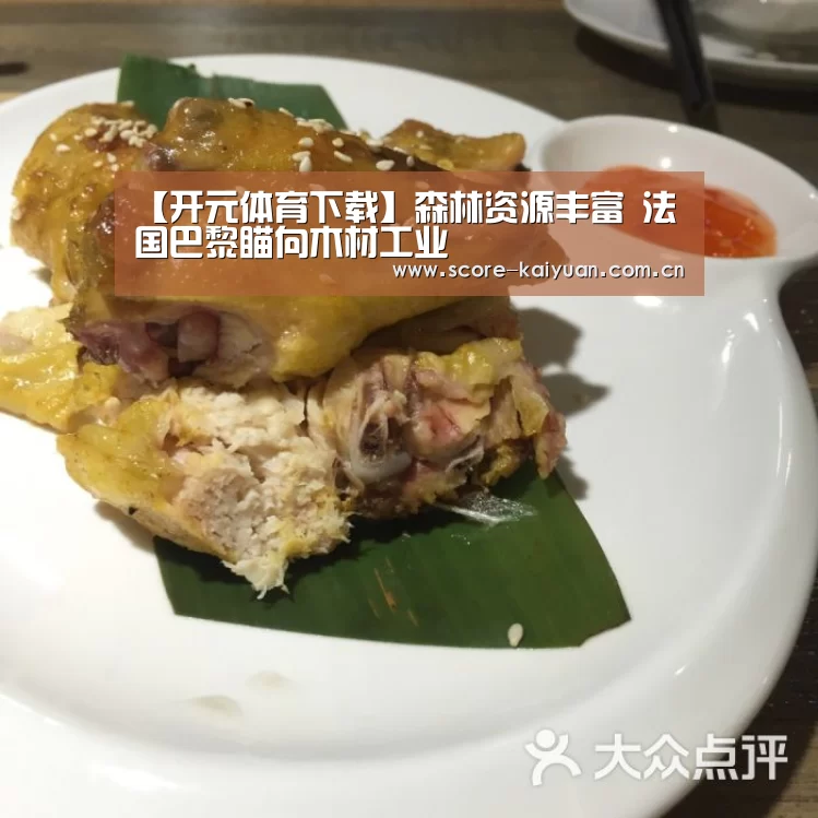 【开元体育下载】森林资源丰富 法国巴黎瞄向木材工业(图2) 开元体育