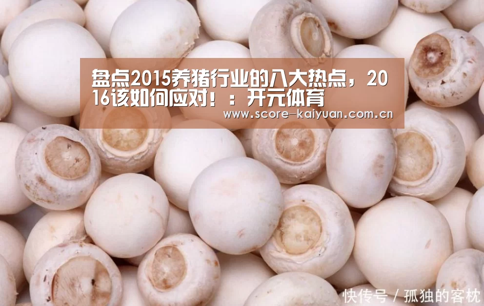 盘点2015养猪行业的八大热点,2016该如何应对!:开元体育(图1) 开元体育下载