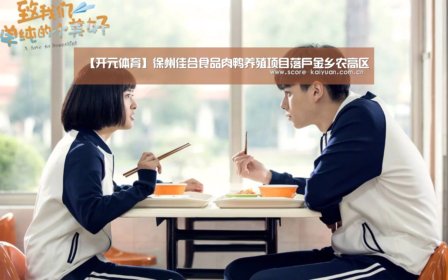 【开元体育】徐州佳合食品肉鸭养殖项目落户金乡农高区(图2) 开元体育下载