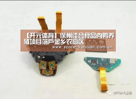 【开元体育】徐州佳合食品肉鸭养殖项目落户金乡农高区(图4) 开元体育下载