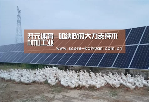开元体育-加纳政府大力支持木材加工业(图3) 开元体育下载